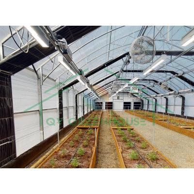 China Commercial Single-Span Greenhouses Plastic Film Tunnel Medical Plants Blackout Light Deprivation Greenhouse for sale