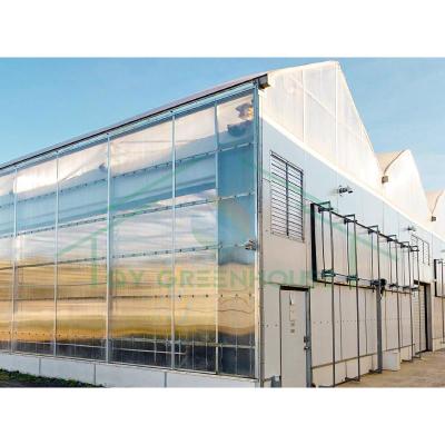 China Hot Galvanized Steel Frame Light Deprivation Agricultural Greenhouse for sale