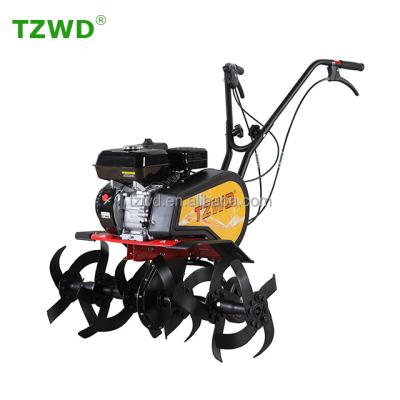 China Mini Agriculture Equipment Gasoline Garden Cultivator (BK-55B1) for sale