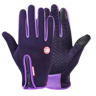 China Wholesale Waterproof Neoprene Touch Screen Glove Waterproof Windproof Outdoor Sport Purple Fabric With Touch Screen Fingers Outdoor Sport Diving Protective Glove for sale