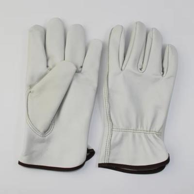 China High Quality Outdoor Riding Glove Cowhide Leather Gloves Training Cycling Gloves for sale