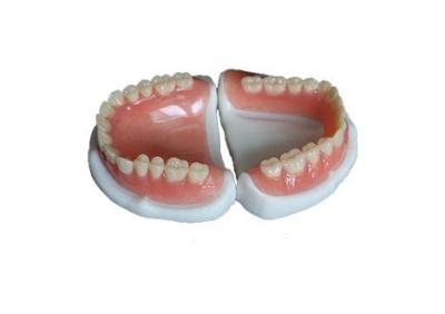 China Dentadura parcial de acrílico removible, de aspecto natural y fácil de mantener. en venta