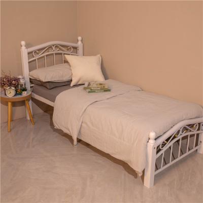 China Cheap wholesale china metal frame stainless steel antique white decorative single bed for sale for sale