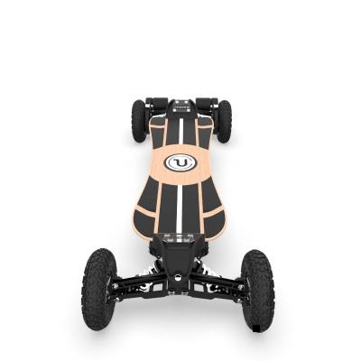 China Durable Mountain Brand Electric Board 4 Wheel High Speed ​​Max Speed ​​Electric Skateboard for sale