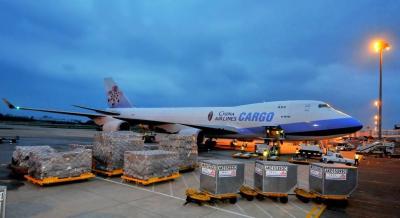 China China a los servicios del promotor del envío del flete aéreo de Francia cada día con el almacenamiento de seguro del despacho de aduana en venta