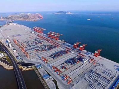 China Rutas de envío del océano del promotor de carga de la importación del promotor del envío de la carga de mar de FCL Fcl en venta