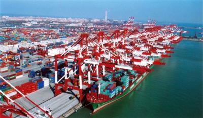 China Reliable Shipping Transport Services to Toronto , ON / Freight Forwarding Agent for sale