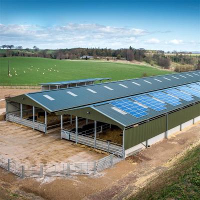 China Steel workshop quickly erected cow shed farm construction steel structure space for sale, professional designed steel structure barn for sale