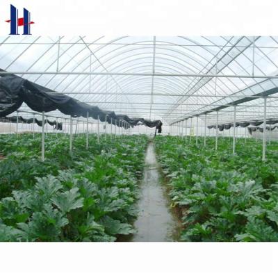 China China Vegetable Greenhouse Flower Greenhouse Cheap Lightweight Industrial Steel Structure Shed For Flower / Vegetable Greenhouse for sale