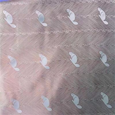 China lino de la armadura llana de la tela 63dX75d del Dobby del poliéster 77gsm para las chaquetas en venta