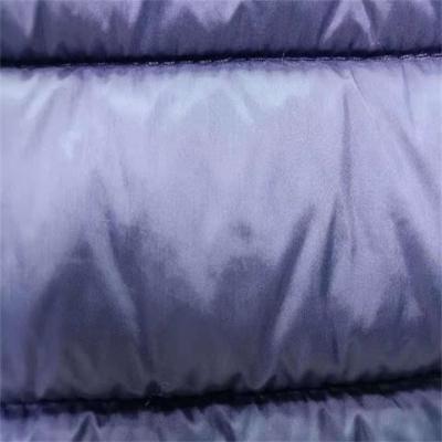 China Quilting 137CM 240gsm Soft Shell Material 20dx20d for sale