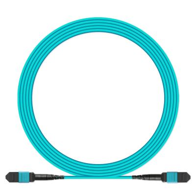 China Fiber Optic Patch Tie OEM Necero Factory 20 Years High Quality Fiber Optic Patch Cord Braid Mpo Mtp SC LC Wholesale Good Prices for sale