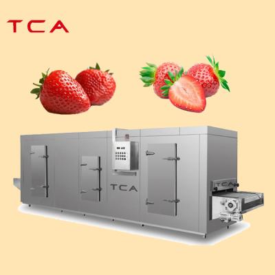 China Hotels IQF shrimp iqf freezer machine / strawberry tunnel freezer with CE for sale