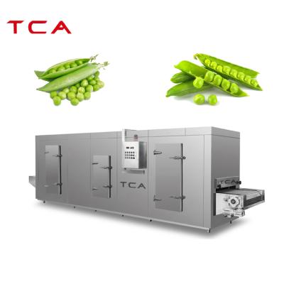 China Hotels IQF Industrial Small Freezer Machine Deep Freezer for sale