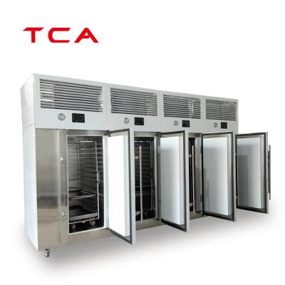 China Hotels Deep Freezing Tunnel Blast Freezer Frozen Food Blast Freezer Machinery for sale