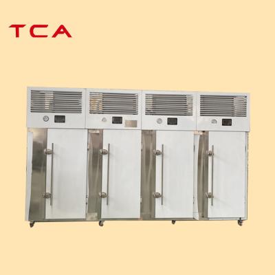 China High Quality Hotels Quick Freezing Four-door Refrigerator Liquid Nitrogen Tunnel Freezer for sale