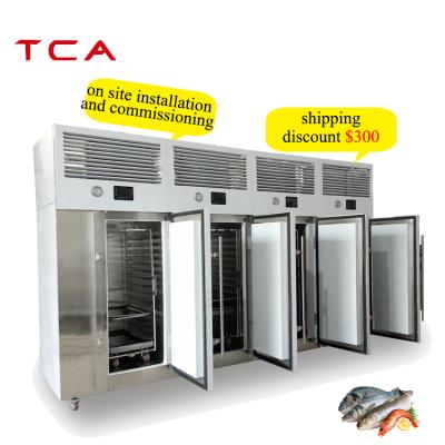 China Hotels Food Blast Freezer IQF 30kg/50kg/70kg/100kg/150kg Frozen Freezer With CE for sale