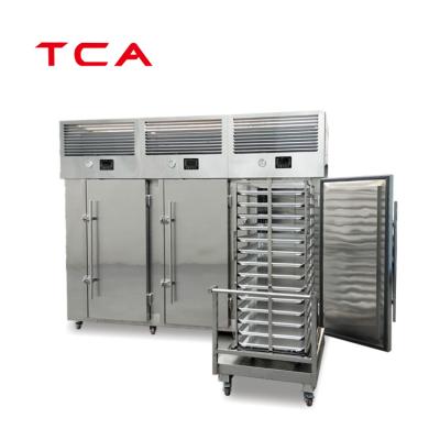 China Small Hotels Chicken Blast Freezers For Sale Refrigeration Equipment Blast Chiller Freezer for sale