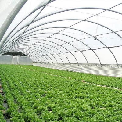 China Stable Structure And Modern Appearance Cost Of Pricing Greenhouse Tunnel Greenhouse Greenhouse for sale