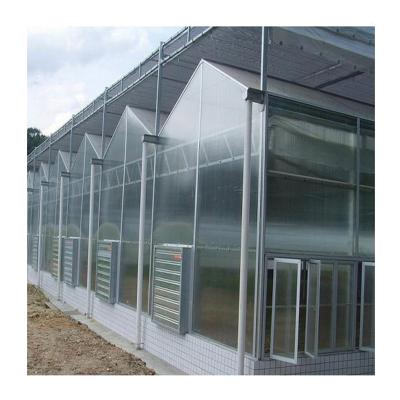 China Stable Venlo Polycarbonate Sheet Structure Low Span Cost Multi Greenhouse For Sale for sale