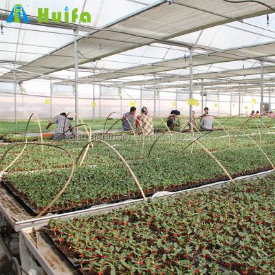 China Prefab Greenhouse Seedling Greenhouse Growing USA Greenhouse Greenhouse Houses For Sale In Dubai for sale