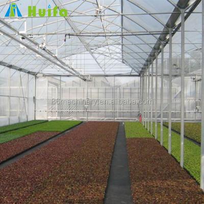 China Greenhouse Greenhouse Seedling Multi Span Tunnel Greenhouse Growing Australia Greenhouses Commercial Growing House Manufacturers in Sri Lanka for sale