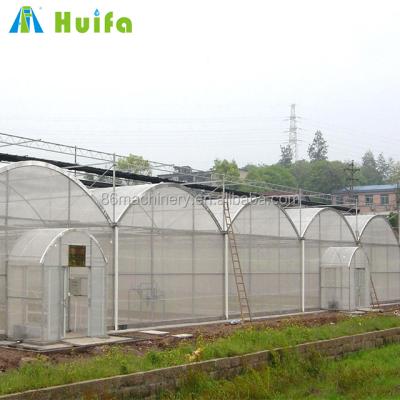 China Low Cost Steel Multi Span UV Resistant Galvanized Agricultural Greenhouse for sale