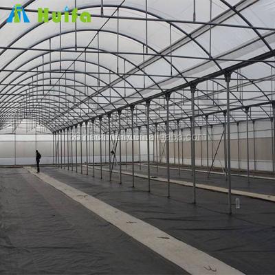 China Greenhouse Seedling Tunnel Greenhouse Multi Span Growing Green Houses For Sale South Africa for sale