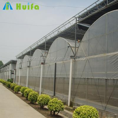 China Greenhouse Seedling Growing Strong Poly Film Tomato Large Professional Modern Manufacturers Grow Multispan GreenhouseFor Sale for sale