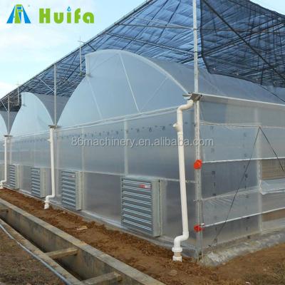 China Stable Structure And Modern Appearance High Quality Tropical Multi Span Agriculture Greenhouse For Vegetable for sale