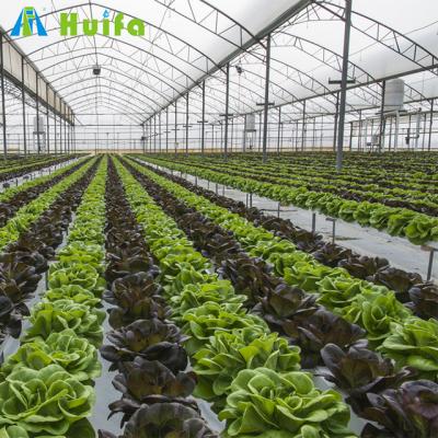 China Greenhouse Seedling Growing Plastic Sheet Large Poly Film Arch Commercial Price Agriculture Vegetable Cheap Greenhouses for sale