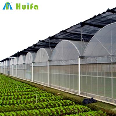 China Agricultural Growing Greenhouse Seedling Protect Insect Proof Mesh Farm Equipment Plastic Sheet Multi Span Hydroponic Greenhouse for sale