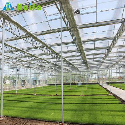 China Greenhouse seedling growing Agricultur greenhouse frame manufacteror for sale in Botswana for sale