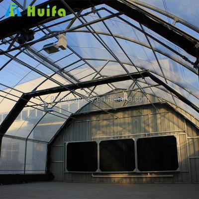 China Modern Blackout Light Deprivation 100% Agricultural Greenhouse for sale