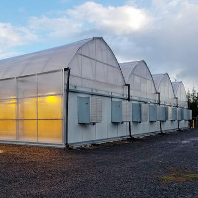 China Agricultural Medicine Plants Multi-span Tunnel Fully Automated Light Deprivation Greenhouse for sale