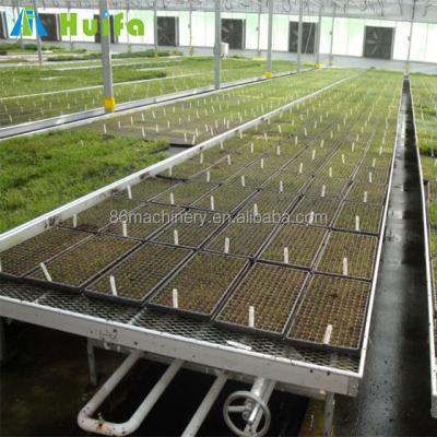 China Stable Modern Tobacco Seed Bed Portable Benches Greenhouse Rolling Structure Benches for sale