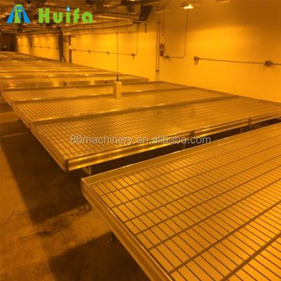 China Hydroponic Greenhouse Horticultural Seedling Planting Aquaponics Table for sale