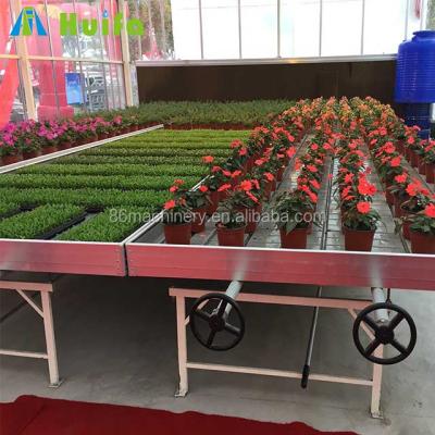 China Customized Hydroponic Rolling Tables Bench Ebb And Flow Hydroponic Systems For Plant for sale