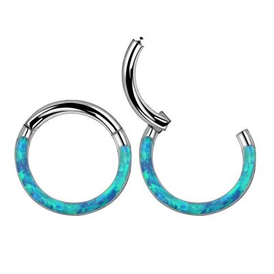 China FASHIONABLE Hot Selling Titanium Opal G23 Set Hinged Segment Clicker Circle Ring 16 Gauge Nose Ring Wholesale for sale