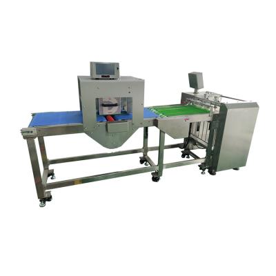 China DIKAI WRF420 food adhesive label paging machine count date with stacker label automatic paper paging printing machine for sale