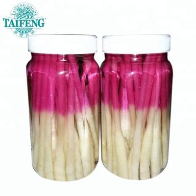 China PRESERVED red pickled shoot of ginger for sale