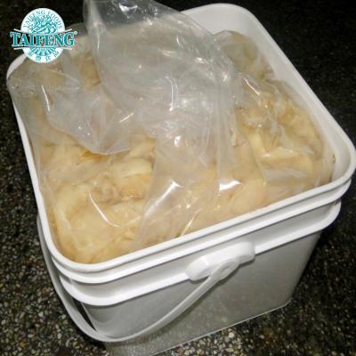 China New Cultured Ginger Material 2X10 Pickled Sushi Ginger PRESERVED Per Barrels For Export for sale