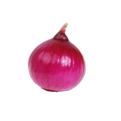 China 2021 fresh FRESH red onion cultivation for sale