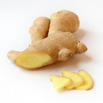 China 2021 Fresh Fresh Ginger Premium Quality New Culture Good Price for sale