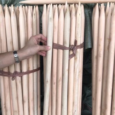 China Home and Indoor and Outdoor Wooden Wood Pole and Broom Stick Brush Handle Eucalyptus Wood Pole for Fence for sale