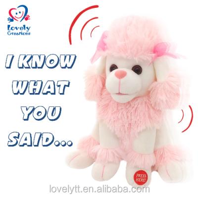 China Voice ID Poodle 9.5