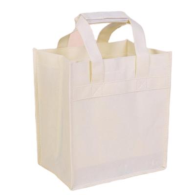 China Custom Reusable Eco-friendly Portable Promotional Logo Printing Non Woven Packaging Shopping Bag Wine Bottle Bag for sale