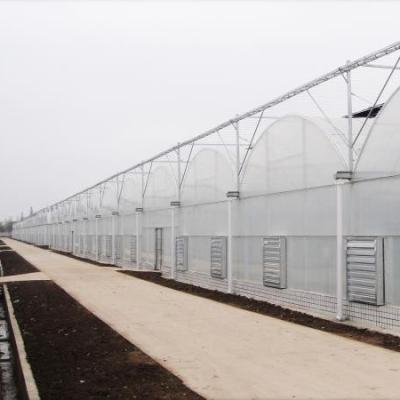 China Economic agricultural film greenhouse in China for sale