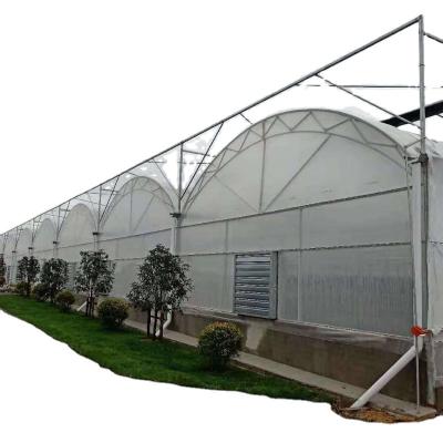 China Agriculture Multi Span Film Greenhouse With Low Cost Price for sale