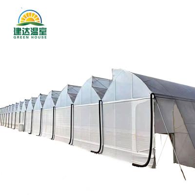 China Fruit Vegetable Flowers Multi Span PO/PE Film Green House Hydroponic Planting Greenhouse For Agricultural Greenhouses for sale